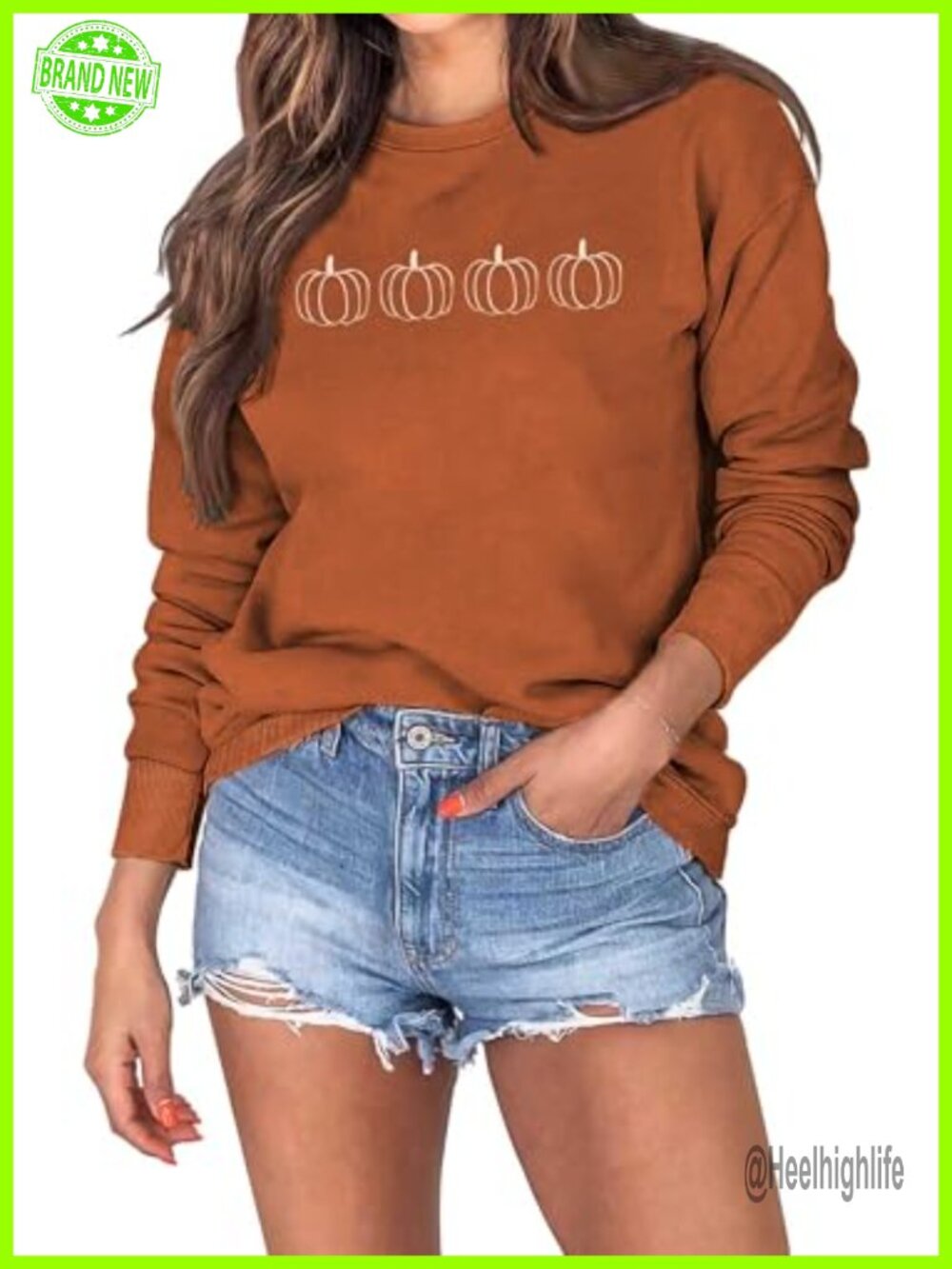 Pumpkin Embroidered Crewneck Sweatshirt Long Sleeve Pullover Fall Thanksgiving